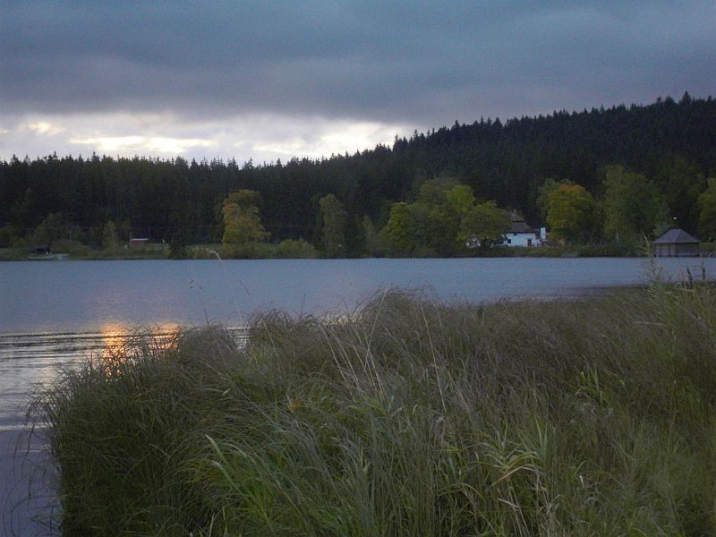 rano1.jpg - Olšinský rybník po ránu