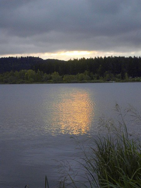 rano2.jpg - Olšinský rybník po ránu